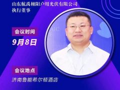 2020戶用大會丨丁文磊 航禹栩陽戶用光伏執(zhí)行董事