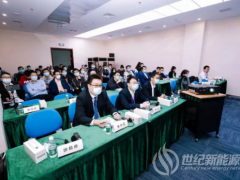 占比半壁江山的中東南部 未來風電開發具有哪些潛力？