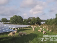 英國以59美元/兆瓦時的價格分配1.9GW太陽能