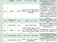 廝殺激烈！五大六小 VS 地方能源集團，誰占主場？