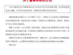 湘電股份董事長辭職！