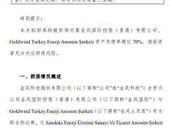 開發海外風電項目！金風為旗下子公司作保