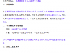 儲能招標丨寧夏吳忠市100MW/200MWh共享儲能電站EPC重新招標！