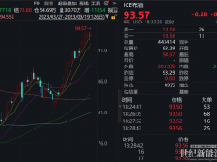 “晶硅技術皇冠上的明珠”！光伏龍頭巨資押注，投建首個BC電池項目，概念股名單出爐