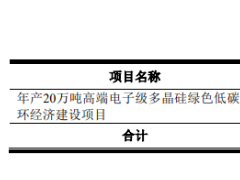 新特能源IPO：被低估的龍頭，背后站著“巨人”