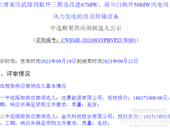 中標(biāo) | 1541-1553元/kW！遠(yuǎn)景、金風(fēng)預(yù)中標(biāo)大唐重慶117MW風(fēng)電項目