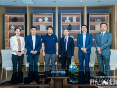 新技術(shù)競(jìng)爭(zhēng)、逆全球化侵襲！光伏業(yè)開啟新一輪優(yōu)勝劣汰