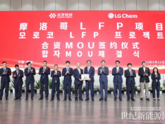 LG化學(xué)與華友集團(tuán)合作在摩洛哥建立LFP正極工廠