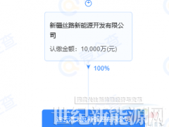 又一國有控股企業(yè)布局HJT電池及組件