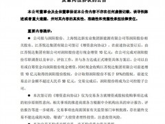 美女掌門出手！改寫光伏“獨角獸”結局