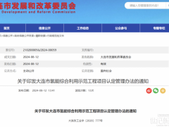 大連：未按計劃實施、進展緩慢、提供虛假材料等氫能綜合利用示范項目 將撤銷認定！