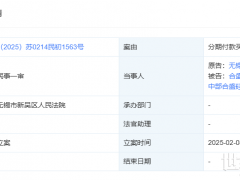 從供應(yīng)商訴訟到ABS融資，合盛硅業(yè)擴(kuò)張擊穿資金鏈？
