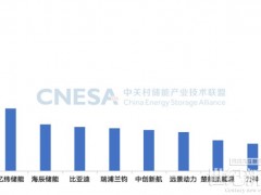 權威發布 | 2024年度中國儲能企業出貨量八大榜單發布