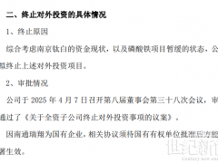 20萬噸鋰電項目慘遭撤資！