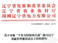全年不超300MW！遼寧開展“馭風行動”建設試點工作