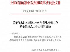 上海浦東新區：推動新型儲能、虛擬電廠等新能源示范項目建設