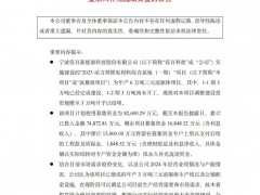 容百科技6萬噸三元前驅體產能調整至3萬噸