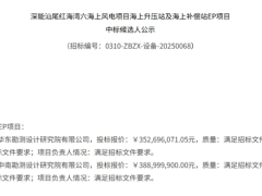 深能紅海灣六海上風電項目海上升壓站及海上補償站EP項目開標