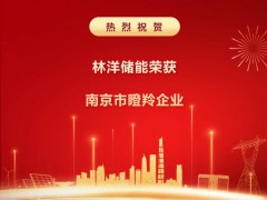 創(chuàng)新不止 奔跑不息 | 林洋儲能榮膺南京市瞪羚企業(yè)，厚植新質生產(chǎn)力