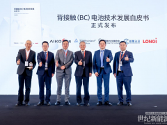 愛旭隆基煉成光伏“回春丹”，BC技術頂峰相見